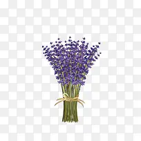 薰衣草花束-空若网 薰衣草花束-空若网