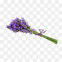 薰衣草花束-空若网 薰衣草花束-空若网
