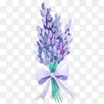 ޹�²�-������