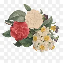 手绘花束野生彩色-空若网 手绘花束野生彩色-空若网