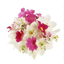 粉色白色小花花束-空若网 粉色白色小花花束-空若网