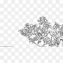 �����ֻ���֦����-������