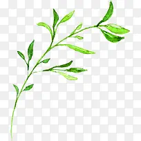 绿色文艺手绘文艺小草树枝-空若网 绿色文艺手绘文艺小草树枝-空若网