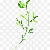 绿色手绘文艺小草树枝装饰-空若网 绿色手绘文艺小草树枝装饰-空若网
