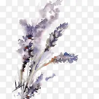 ˮ��޹�²�-������