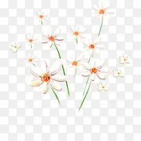 手绘白色文艺小花-空若网 手绘白色文艺小花-空若网