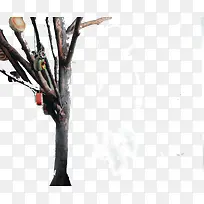 �������չ���-������