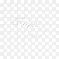 白色羽毛图案-空若网 白色羽毛图案-空若网