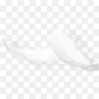 白色羽毛图案-空若网 白色羽毛图案-空若网