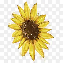 �ֻ�ˮ�ʻ�ɫ���տ�-������