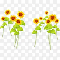 ��ͨ�ֻ��ɫ���տ�-������