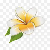 菊花装饰设计矢量-空若网 菊花装饰设计矢量-空若网