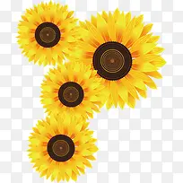 黄色卡通可爱向日葵-空若网 黄色卡通可爱向日葵-空若网