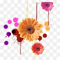 缤纷多彩溅墨菊花-空若网 缤纷多彩溅墨菊花-空若网