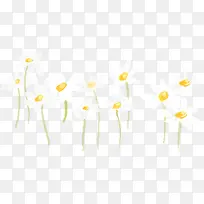 手绘菊花-空若网 手绘菊花-空若网