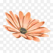 Ë®²Ê¾Õ»¨-¿ÕÈôÍø Ë®²Ê¾Õ»¨-¿ÕÈôÍø