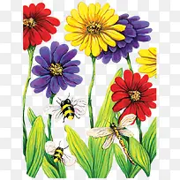 彩色菊花-空若网 彩色菊花-空若网