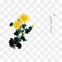 手绘花卉-空若网 手绘花卉-空若网