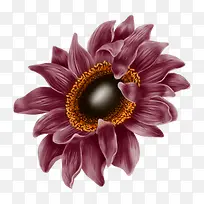 ����ջ�-������