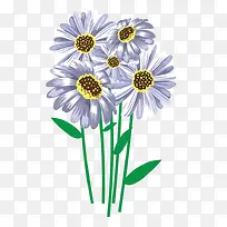 水彩菊花-空若网 水彩菊花-空若网