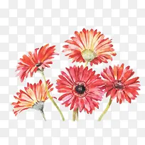 卡通手绘美丽菊花-空若网 卡通手绘美丽菊花-空若网