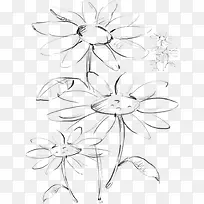 手绘-空若网 手绘-空若网