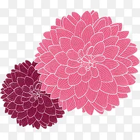 手绘菊花装饰矢量图-空若网 手绘菊花装饰矢量图-空若网