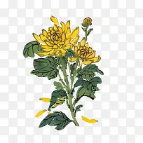 �ֻ�ջ�-������