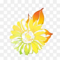 手绘黄色菊花素材-空若网 手绘黄色菊花素材-空若网