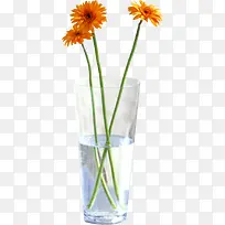 橙色的菊花-空若网 橙色的菊花-空若网