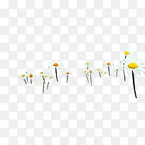 ��ɫ���ջ���װ��-������