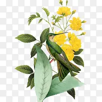 �ջ���-������