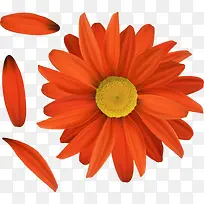 橙色菊花海报背景-空若网 橙色菊花海报背景-空若网