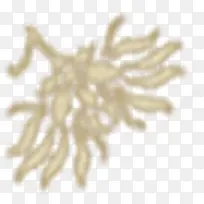 小菊花创意素材-空若网 小菊花创意素材-空若网