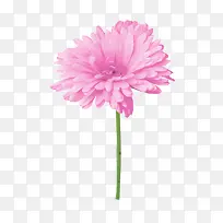 ��ɫ�ջ��ز�-������