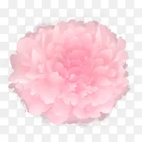 ��ɫ����ջ�-������