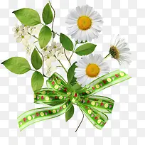 ��ɫ�ջ�������-������