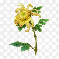 �ջ��ز�-������