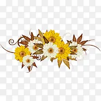 白色菊花黄色菊花-空若网 白色菊花黄色菊花-空若网