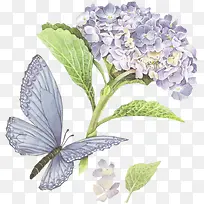 ˮ�ʾջ�����-������