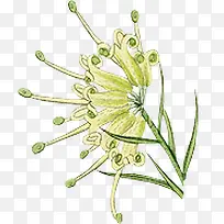 �ֻ��ɫС����-������