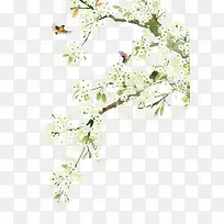 白色小花手绘唯美-空若网 白色小花手绘唯美-空若网