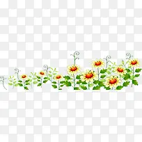 手绘唯美白色小花-空若网 手绘唯美白色小花-空若网