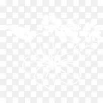 白色手绘线条小花-空若网 白色手绘线条小花-空若网