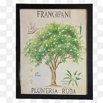 �ͻ��ϵ���-������