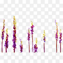 薰衣草-空若网 薰衣草-空若网