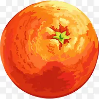 手绘丑橘水果油画-空若网 手绘丑橘水果油画-空若网