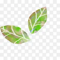 绿色油画树叶可爱-空若网 绿色油画树叶可爱-空若网