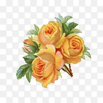 ¾É²å»»¨-¿ÕÈôÍø ¾É²å»»¨-¿ÕÈôÍø