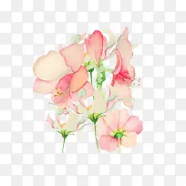 旧插画花-空若网 旧插画花-空若网